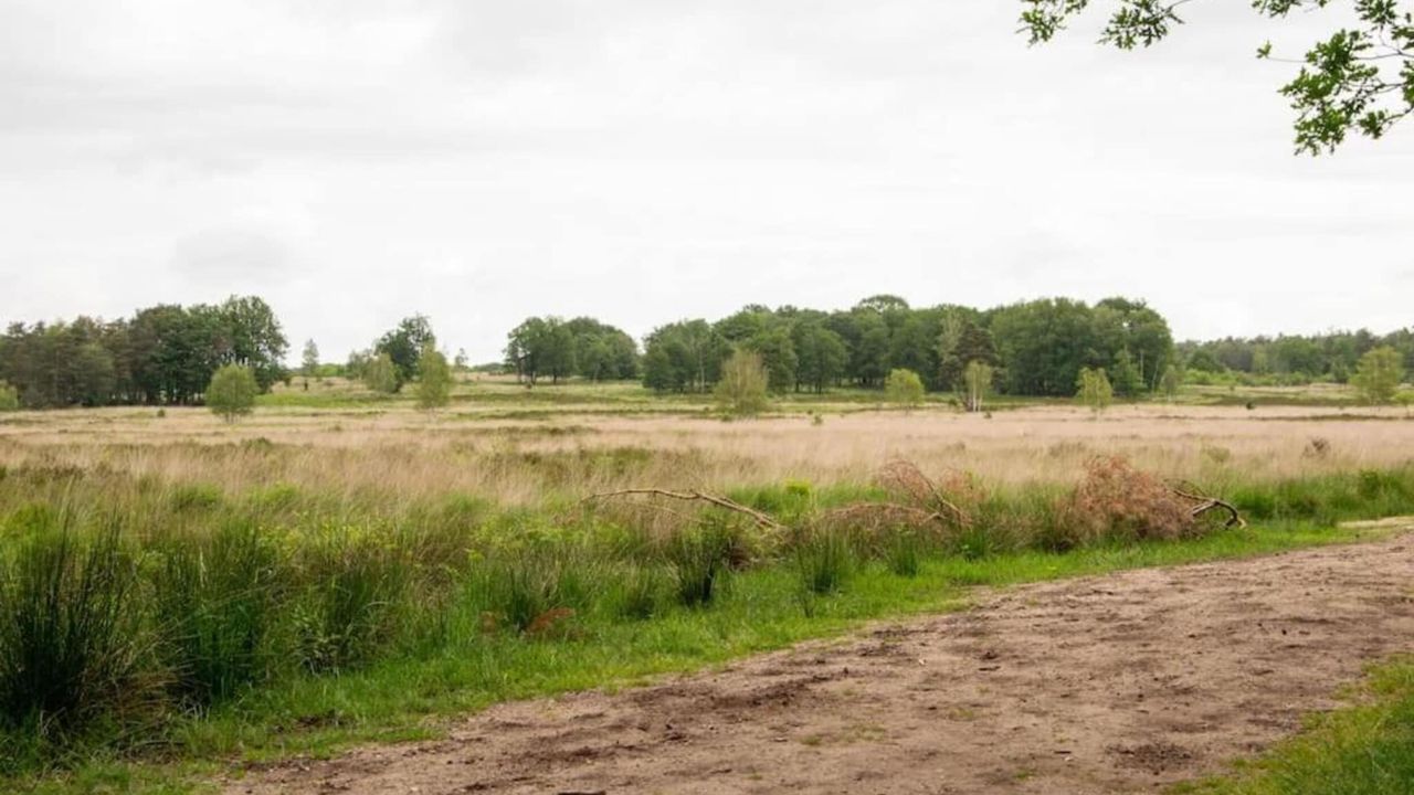 AreaSummer20KM AreaSummer20KM